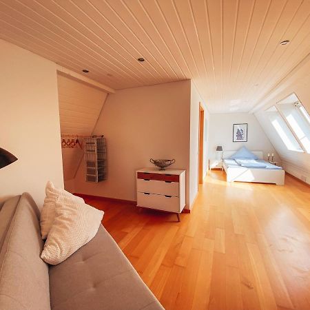 Rheinloft 3 - Grosse Giebelwohnung Mit Dachterrassen An Der Rheinpromenade Emmerich Εξωτερικό φωτογραφία